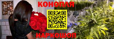 амф Можга