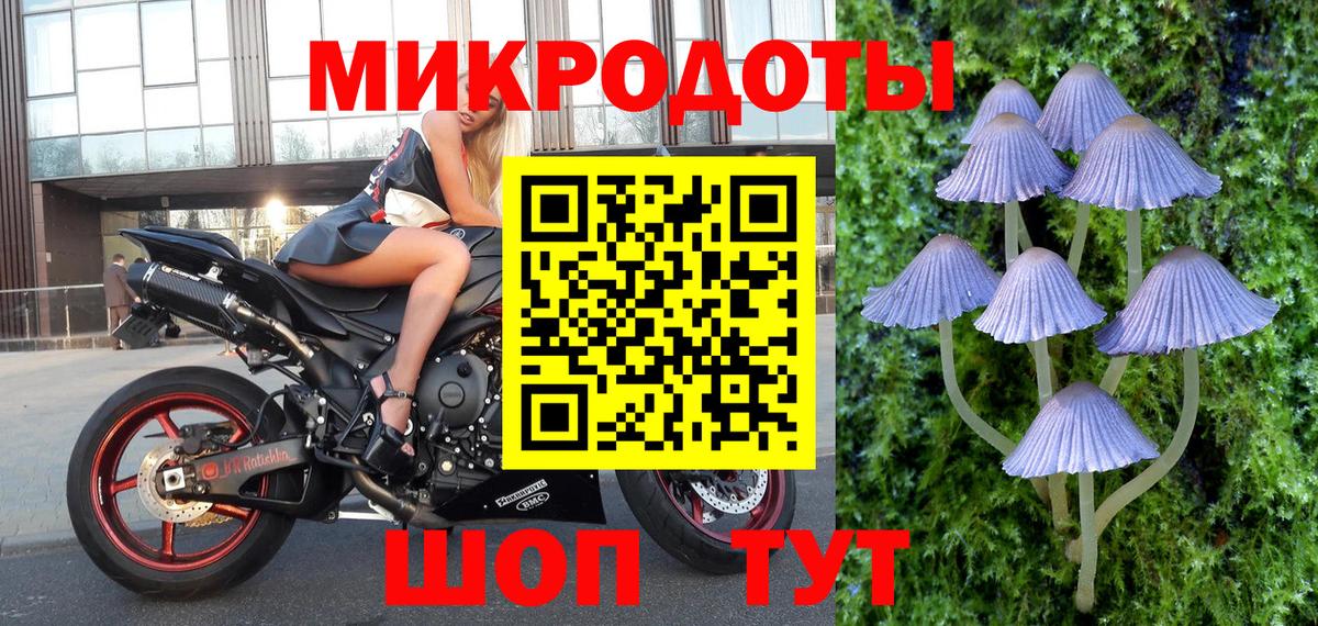 Галлюциногенные грибы ЛСД  Вход с VPN  Солнечногорск  даркнет сайт  Галлюциногенные грибы GOLDEN TEACHER 